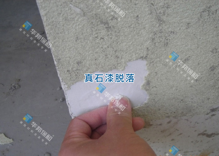e72ce111cf3743ac87e2af7fb0052ed7 e72ce111cf3743ac87e2af7fb0052ed7