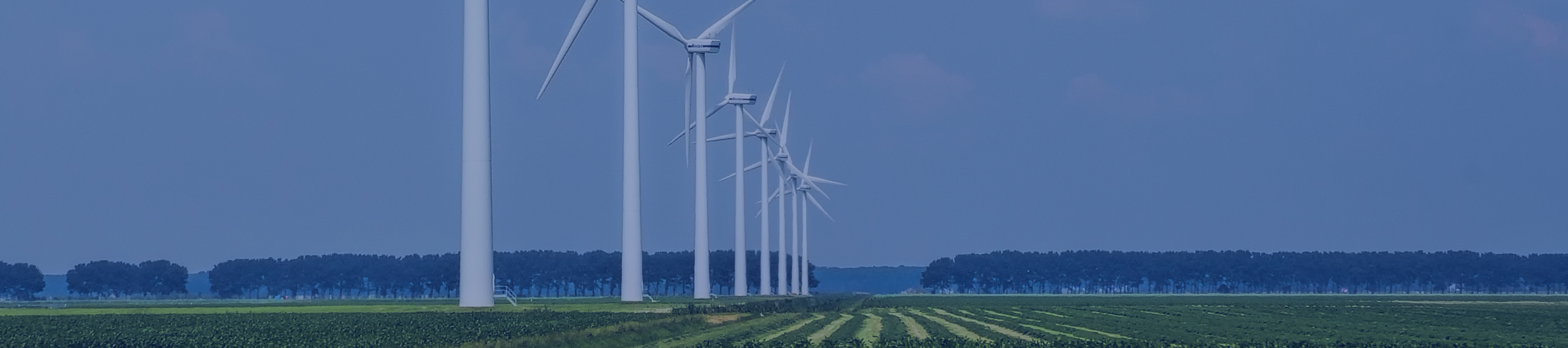 K8凯发集团(中国)公司官网